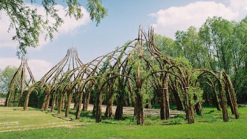 Illustration for article titled Behold These Incredible Works Of Architecture Made Out Of Living Trees